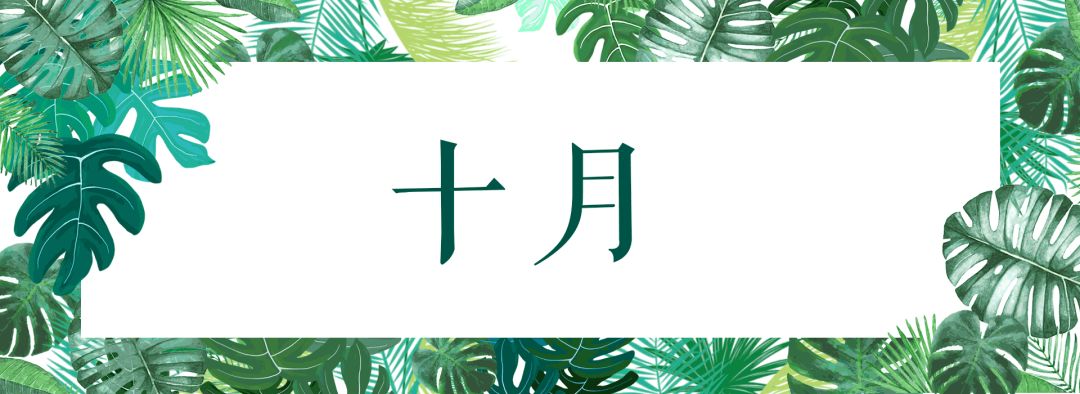 2020下半年南京人旅行时间表,一个月两个地方,收好备查!