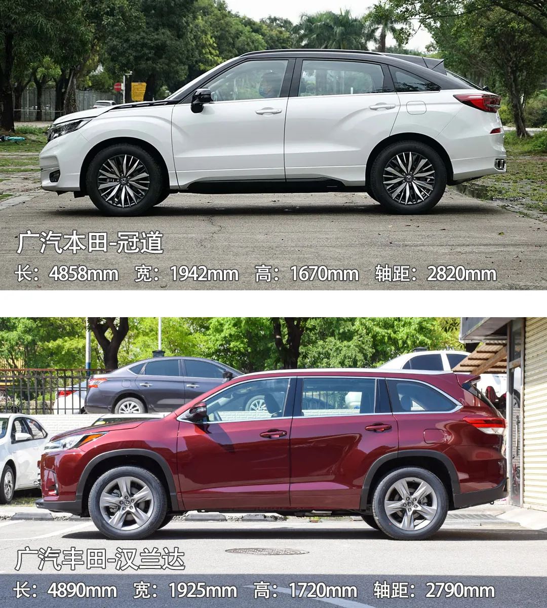 打遍同级竟无对手?这些车真“无敌”了!