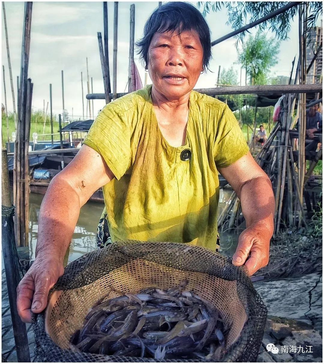 佛山开渔啦！一大波生猛河鲜正在袭来！准备好你的胃没？