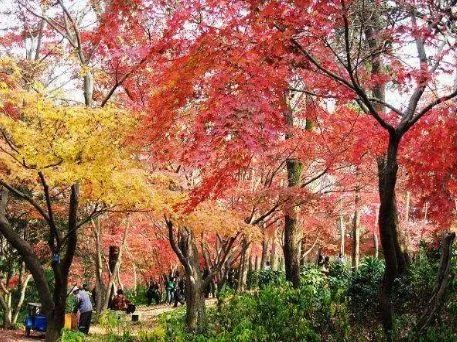 2020下半年南京人旅行时间表,一个月两个地方,收好备查!