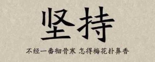 专家解读车险综合改革，新能源车下乡活动开启