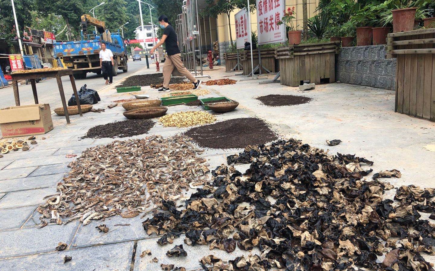 7月19日,舞阳中学校门口一家被淹的粮油店晾晒木耳、红豆等。新京报记者 向凯 摄