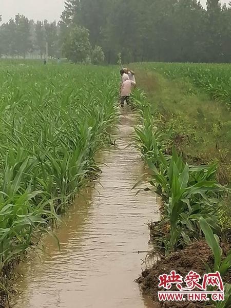 映象网讯(记者 王东红 通讯员 单耀辉)针对近日强降雨天气增多,部分