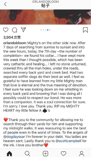 奥兰多·布鲁姆将Mighty纹在胸口 缅怀爱犬离世