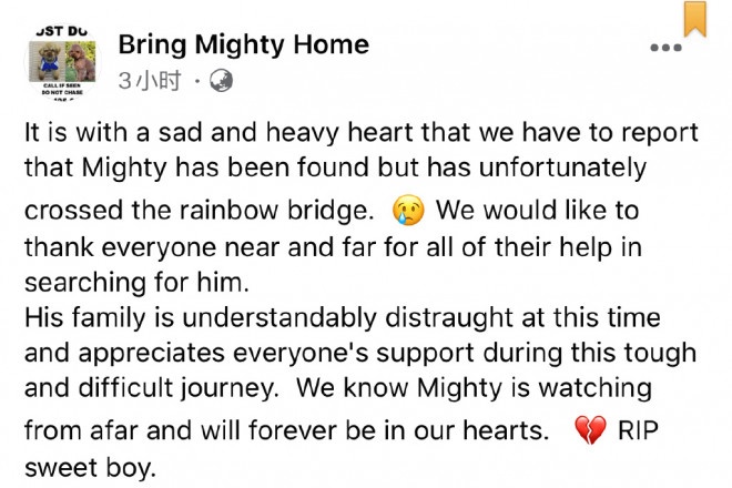 奥兰多·布鲁姆将Mighty纹在胸口 缅怀爱犬离世