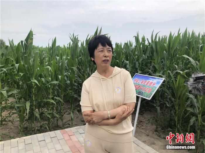 科左中旗农业技术推广中心主任梅园雪在接受采访。记者 丁宝秀 摄