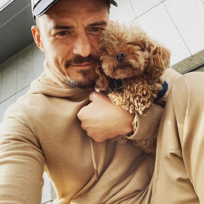 奥兰多·布鲁姆将Mighty纹在胸口 缅怀爱犬离世