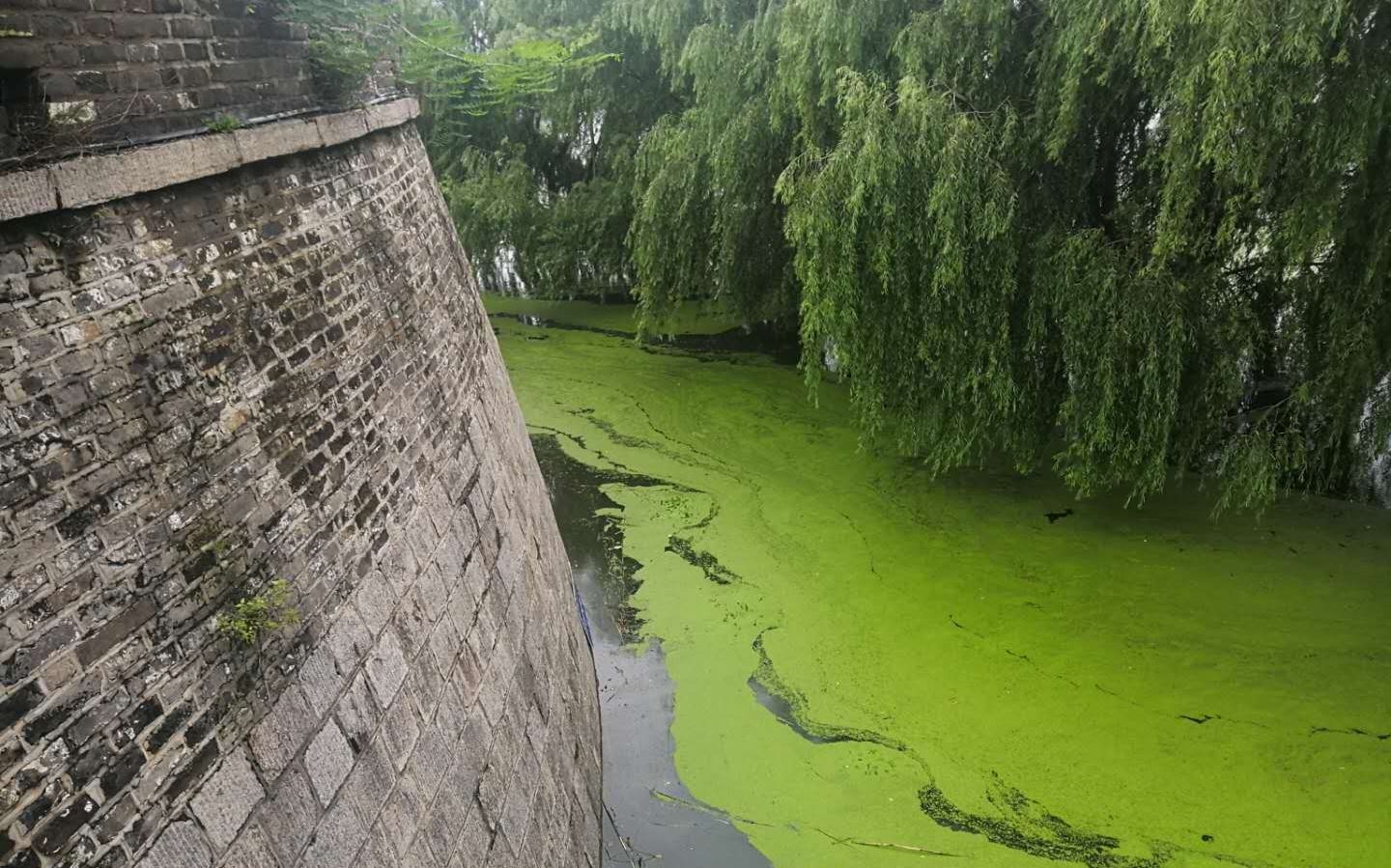 城墙外的洪水。受访者供图