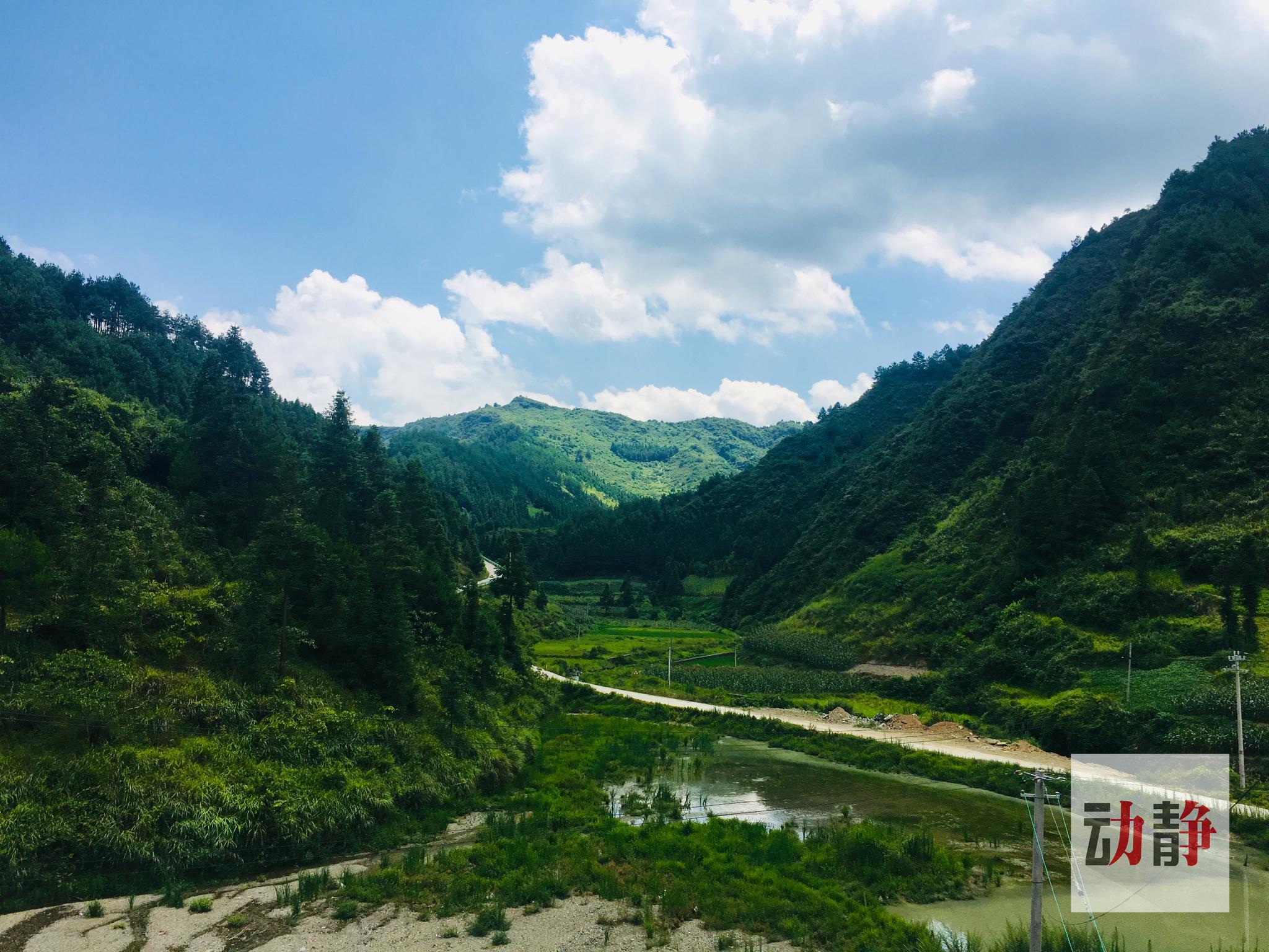 贵州大山里的"电影课堂",美了这仲夏夜