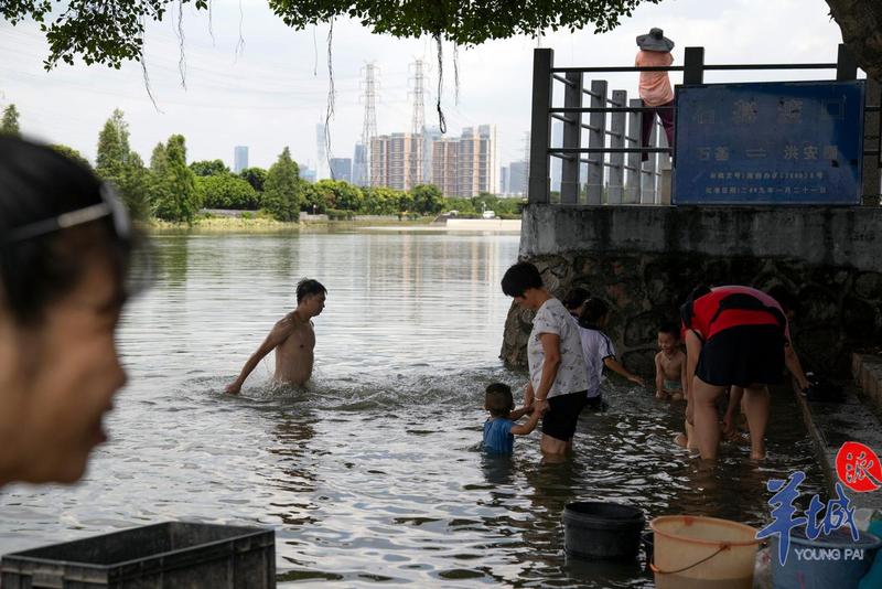 调查广州不少公开水域频现野泳者有的还是未成年人