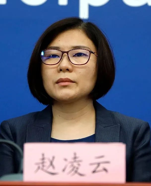 东城区副区长赵凌云介绍"东城社工"防疫经验做法