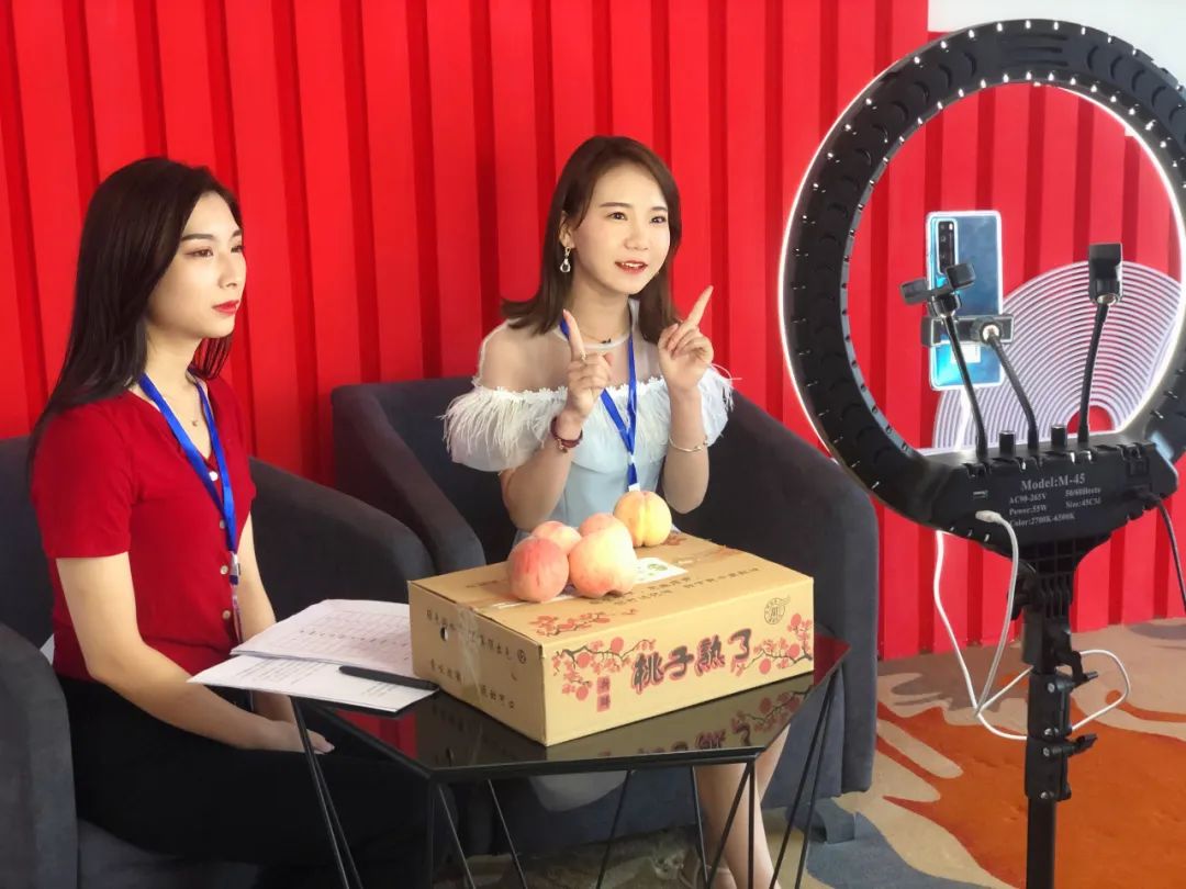 热门话题持续发酵，哪个平台可以叫外围？解析行业生态与合规渠道新视角