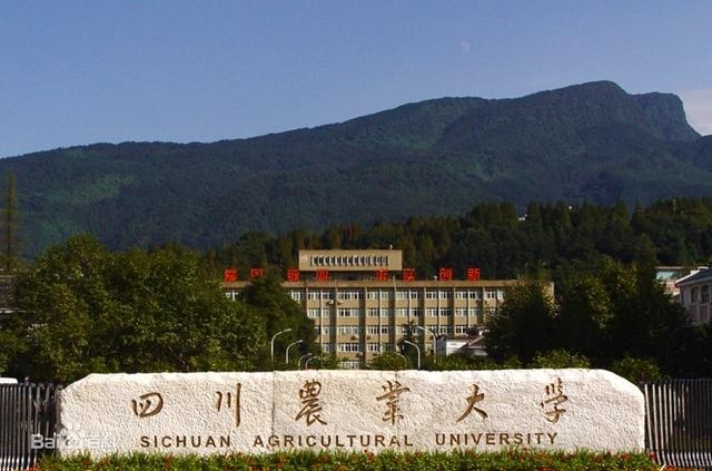 四川农业大学计划在山东招125人,560分以上希望较大