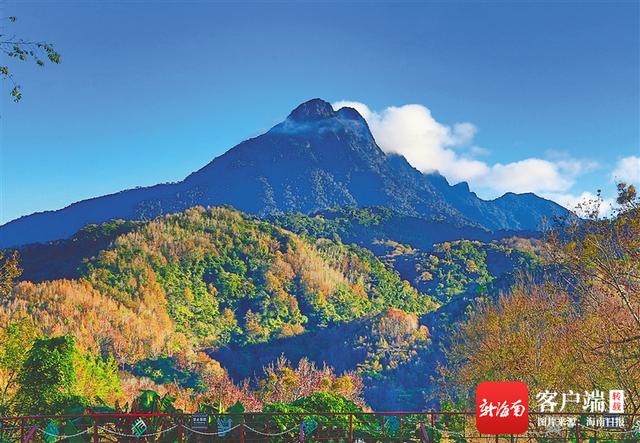 海南周刊 | 黎婺山——五指山——鹦哥岭 黎母岭今古钩沉