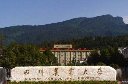 四川农业大学计划在山东招125人,560分以上希望较大