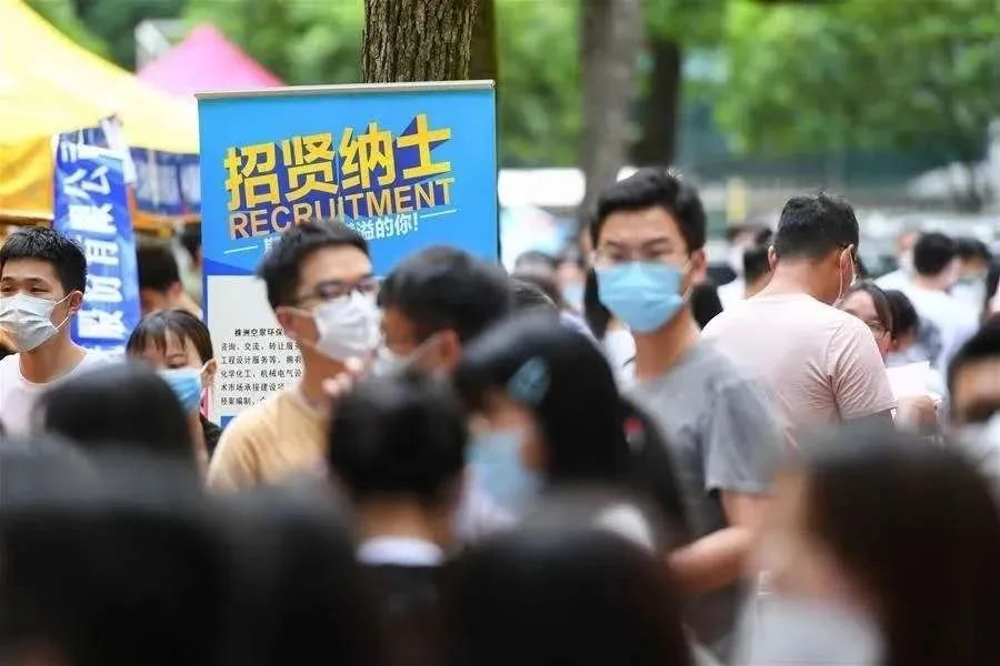 求职的毕业生(图源:新华社)