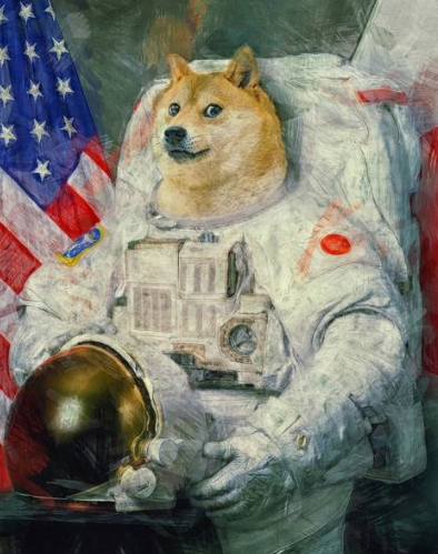 活在你表情包里的神烦狗doge,本体现在过得怎么样?