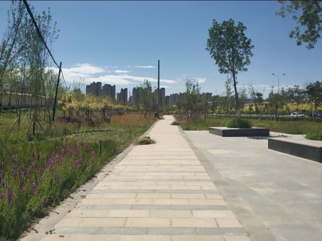 乌鲁木齐有一条七彩路!夏天可以看到秋景,公园广场一路相伴!