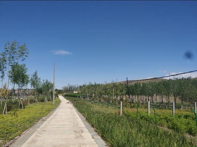乌鲁木齐有一条七彩路!夏天可以看到秋景,公园广场一路相伴!