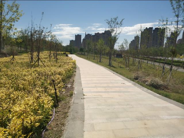 乌鲁木齐有一条七彩路!夏天可以看到秋景,公园广场一路相伴!