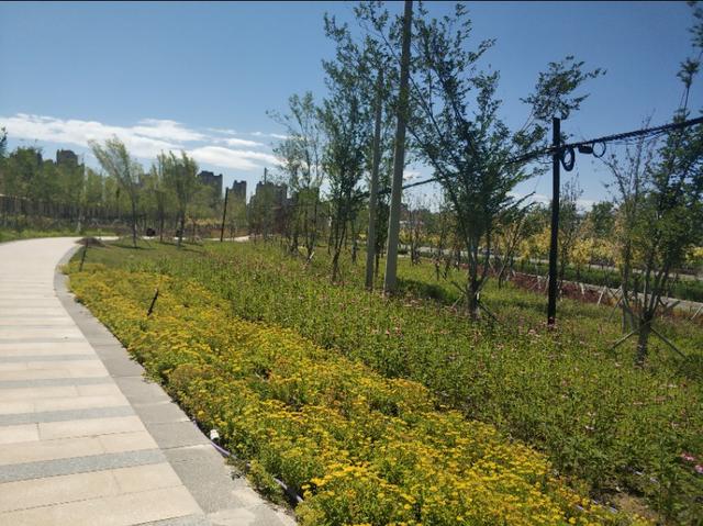 乌鲁木齐有一条七彩路!夏天可以看到秋景,公园广场一路相伴!