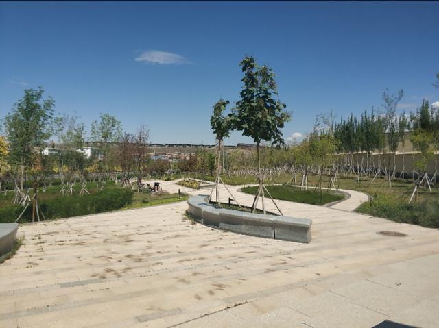 乌鲁木齐有一条七彩路!夏天可以看到秋景,公园广场一路相伴!