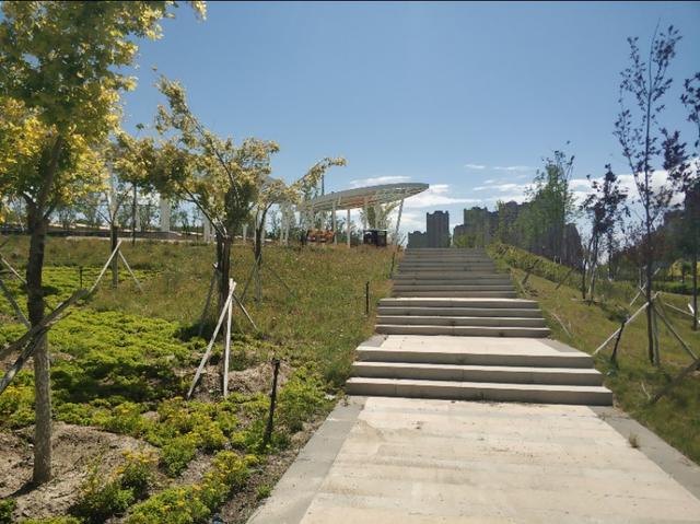 乌鲁木齐有一条七彩路!夏天可以看到秋景,公园广场一路相伴!