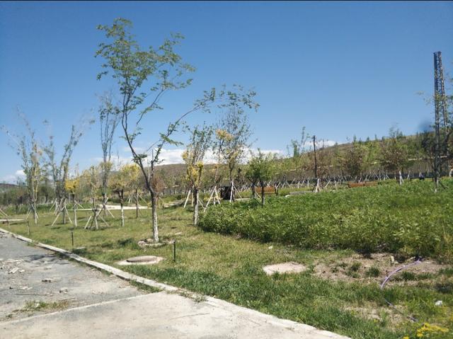 乌鲁木齐有一条七彩路!夏天可以看到秋景,公园广场一路相伴!