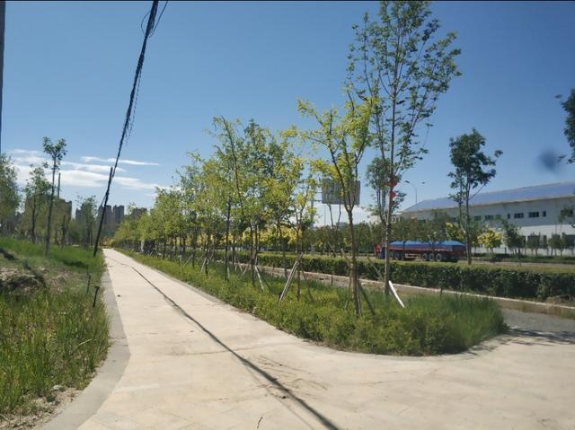 乌鲁木齐有一条七彩路!夏天可以看到秋景,公园广场一路相伴!