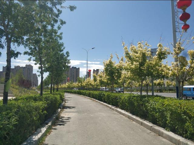 乌鲁木齐有一条七彩路!夏天可以看到秋景,公园广场一路相伴!