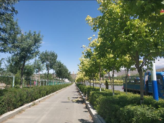 乌鲁木齐有一条七彩路!夏天可以看到秋景,公园广场一路相伴!