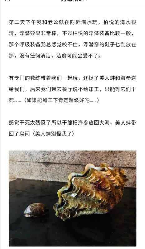 酒店测评类微信公众号发文提及,三亚柏悦酒店潜水教练捕捉砗磲。微信公众号文章截图