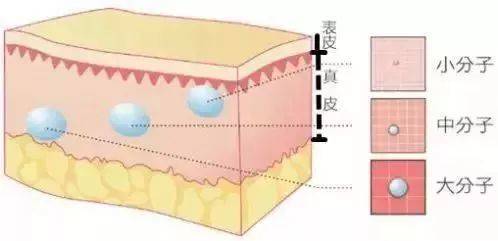 到更深的层次,   至少要到真皮深层,   像隆鼻之类的塑形甚至要到骨膜