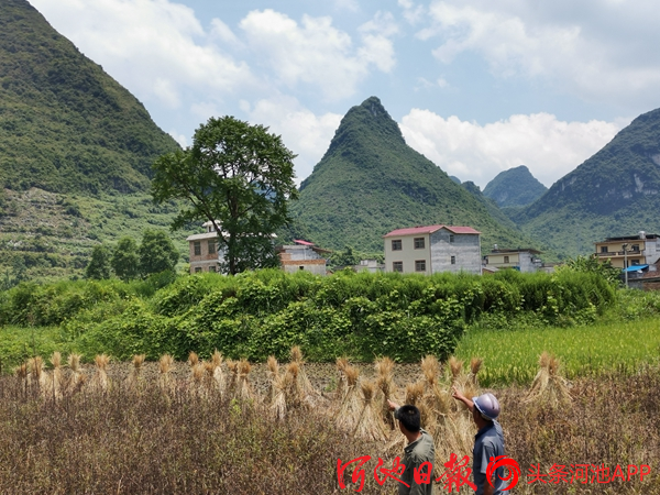 文化河池:追寻天河旧县的足迹