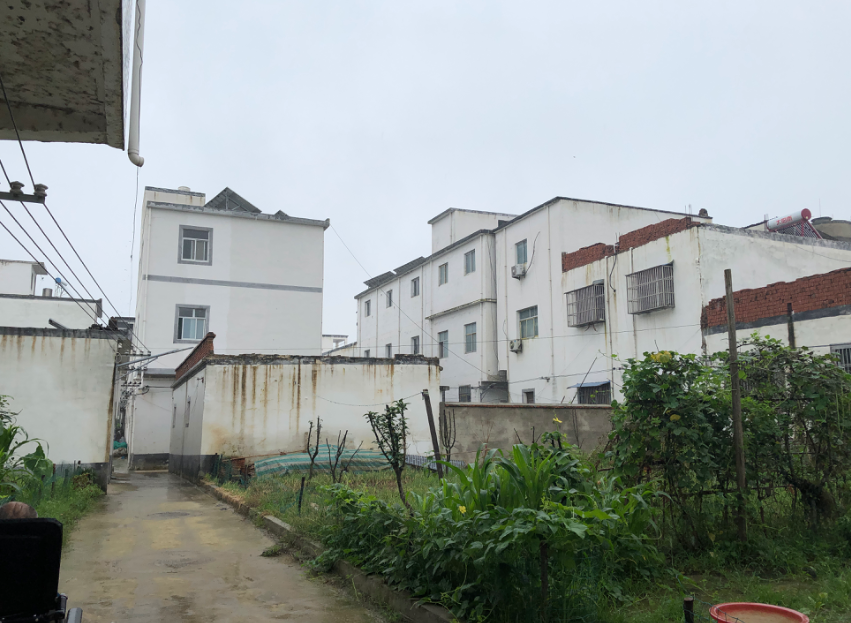王家坝镇一个庄台上的住房情况。新京报记者解蕾摄