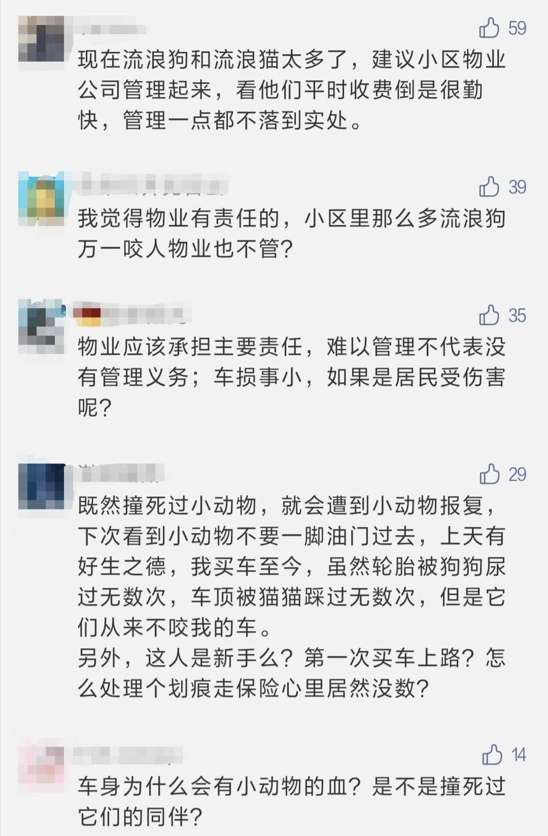 46万元奔驰车被流浪狗咬出上百条划痕，保险、物业：不赔！