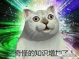 网红共享经济学?太虚伪了...