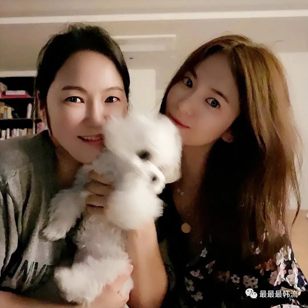 宋慧乔和玄彬被传复合,是活久见还是大乌龙?