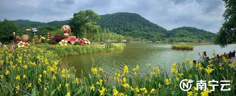 青秀山风景区举办2020年青秀山水生花卉展,为广大市民游客提供一个游园赏花的好去处。记者 潘浩 摄