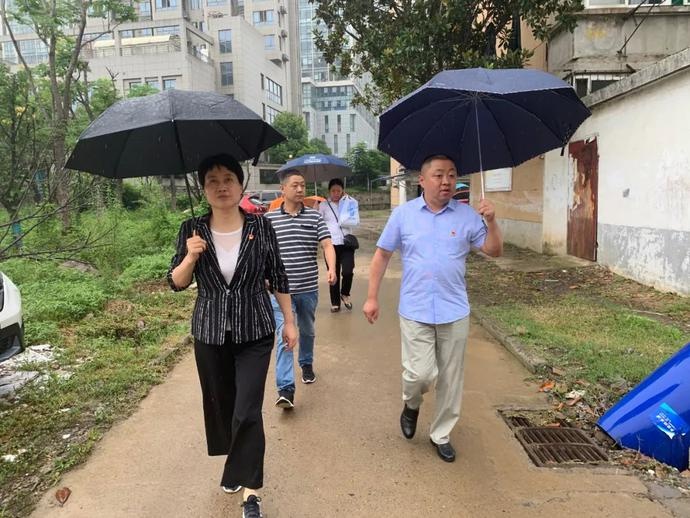 区委副书记、区长王海霞督查荷叶地街道、琥珀街道文明创建工作