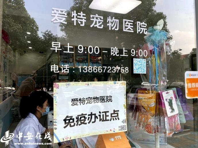 合肥犬只收容中心预计明年启用 已发放犬牌1.3万枚
