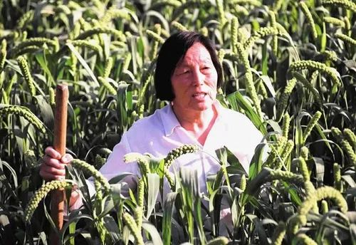 农民申纪兰
