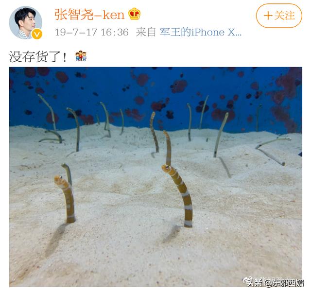 戏红人不红,他是我心目中最帅的古装男神
