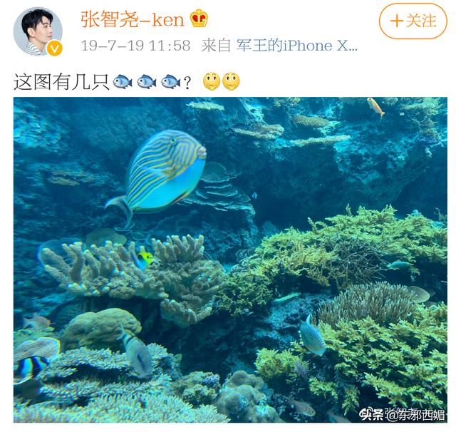 戏红人不红,他是我心目中最帅的古装男神