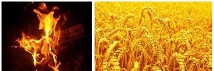 此题第一次玩,新奇又动脑,全对的人肯定是美食家!是你吗?