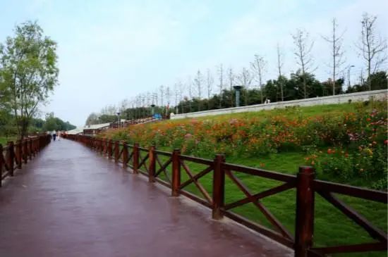 2020南京市健身步道网络挑战赛热力来袭!