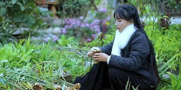 李子柒被写入小学语文考卷是怎么回事?终于真相了,原来是这样