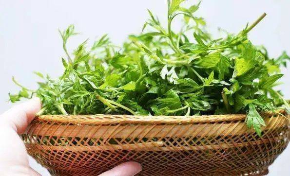 有医说医|别乱补脑了!高考前孩子这么吃,营养精神,超管用!