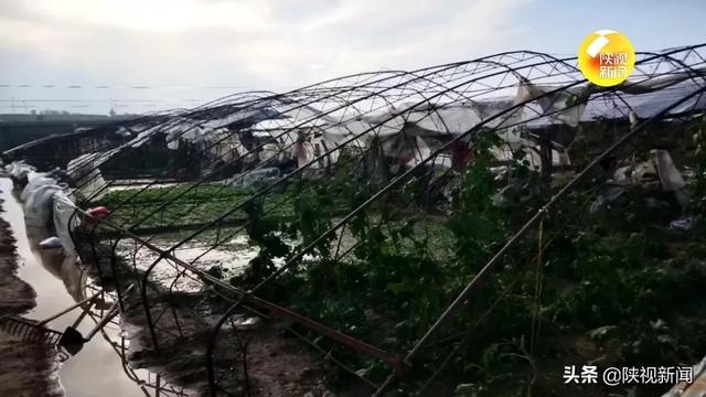 强风冰雹突袭 榆林榆阳区6万多亩农作物受灾