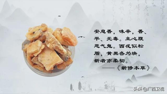 世界各地的奇珍异草,在广西落地生根、开花结果